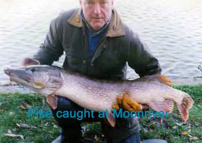 Photo of pike caught at Moonriver