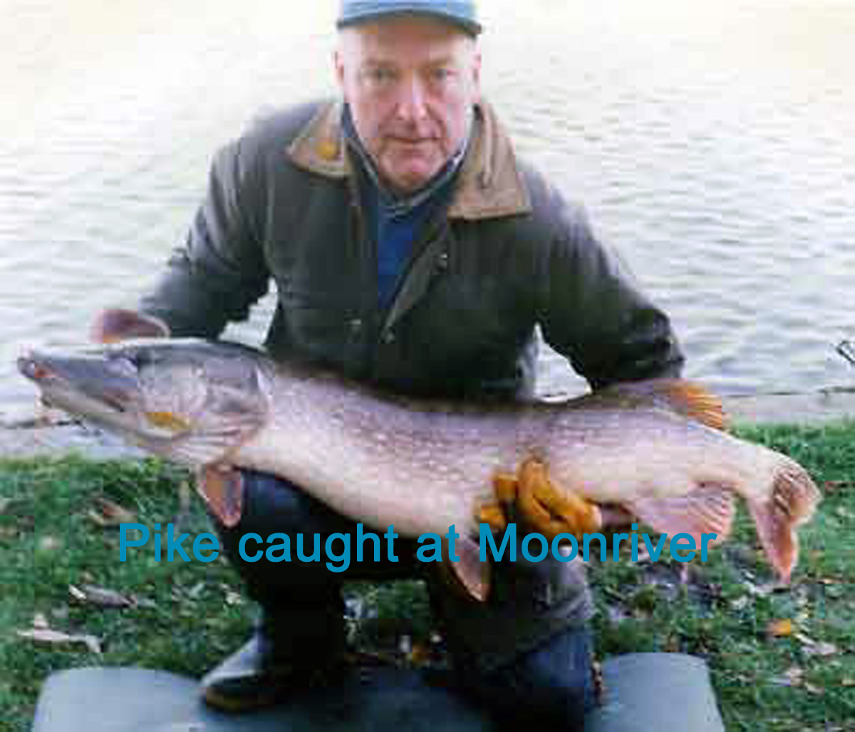 Photo of pike caught at Moonriver